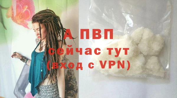 ECSTASY Абаза