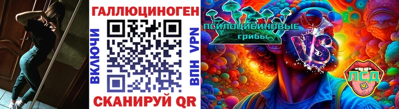 закладки  Касли  Псилоцибиновые грибы ЛСД 